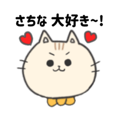 Sachina only cute cat