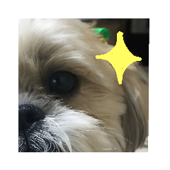 Matsu_20190612153919