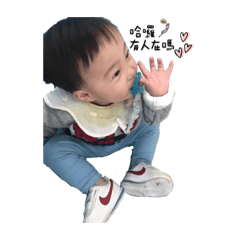 小錢寶的日常