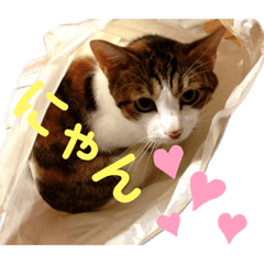 moco_20190612160107