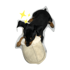 sayuri_20190611210250