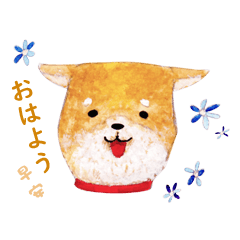 Matsumoto City's shiba-dog named Tomi