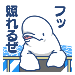 白イルカは尾も白い Line スタンプ Line Store 白イルカは尾も白い Line スタンプ Line Store