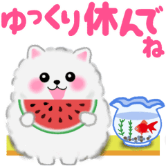 動くよ ポメラニアン ぽちゃん 夏 Line スタンプ Line Store