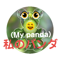 私のパンダ
（My panda）
