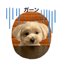 pon_20190612220506