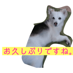 AKIRA_20190612221847