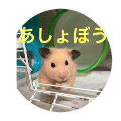 take_20190613014543