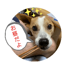jack_20190613015138