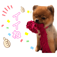 saya_20190613025421