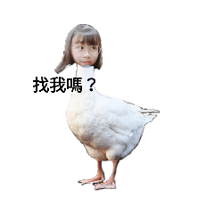 爸爸的女鵝
