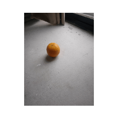 我是橘子子