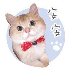 吃可愛長大的辣丸