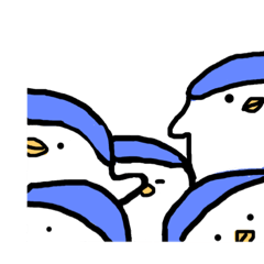 BIRDS LOVE