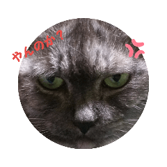 chisa_20190613135217