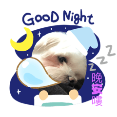 尼莫的日常點滴