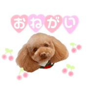 SEIGImama_20190613171919