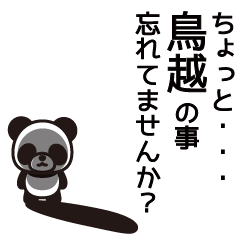 Torigoe Panda Sticker