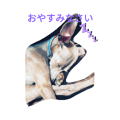 wASAbi_20190613172438