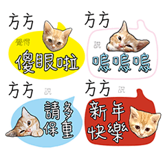 客製化方方姓名貼圖創作DoubleCats MAGGIE