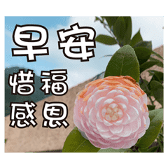 花 挨拶長老イラスト2 0 Line スタンプ Line Store 花 挨拶長老イラスト2 0 Line スタンプ Line Store