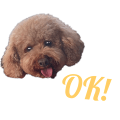 Loco's sticker