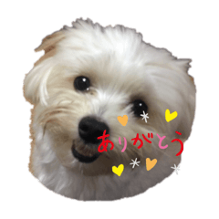 kaede_20190613205003