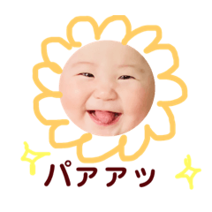 Kurumi_20190615112853