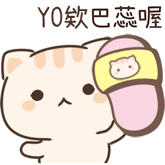 小星貓姓名貼-YO欸專用
