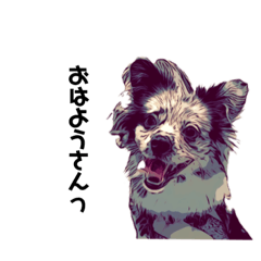 なんかリアルな関西弁の犬(日常編)