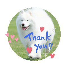 maron_20190613232104