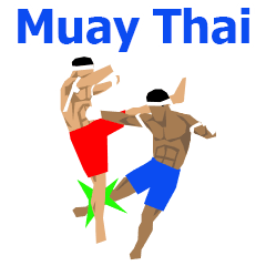 Muay Thai(2)