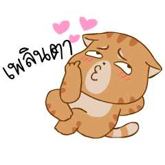 Sumo Cat (TH)