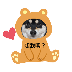 黑麻吉