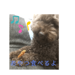 Ann_20190614095916