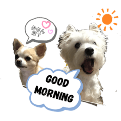 yukari_201906081259137