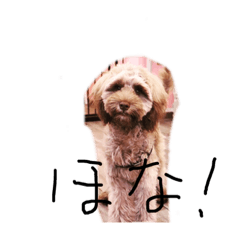 Kuu_20190614165951