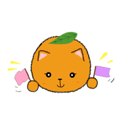 mandarinorange cat  cute