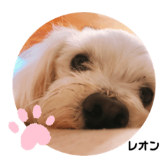yukina_20190614162555