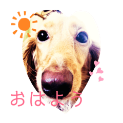 愛犬リズムのシンプルスタンプ