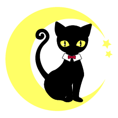 Little mysterious black cat