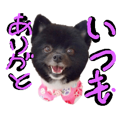 saori_20190614191403