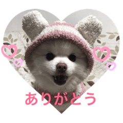 ahiru_20190614182417