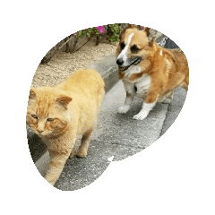 ken_20190614223159