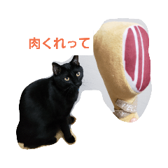 kurosuke_20190614231003