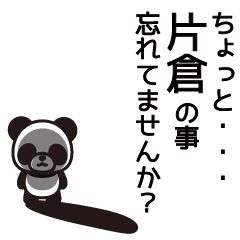 Katakura Panda Sticker