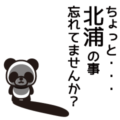 Kitaura Panda Sticker
