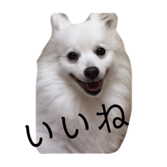 hinata_20190615090936