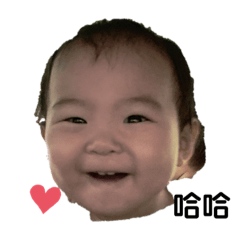 維維亮亮出場囉