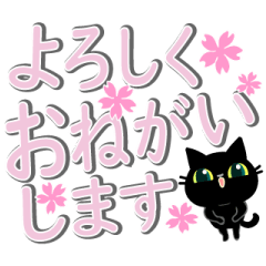 Small, obliging, black cat.10